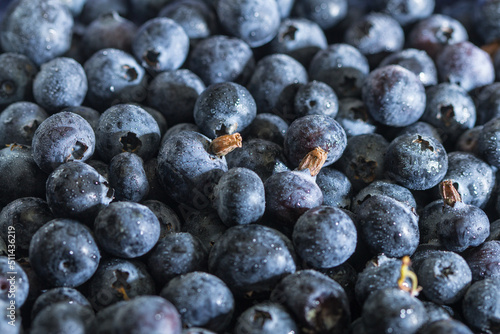 Blueberries photographed from side light - a full frame background