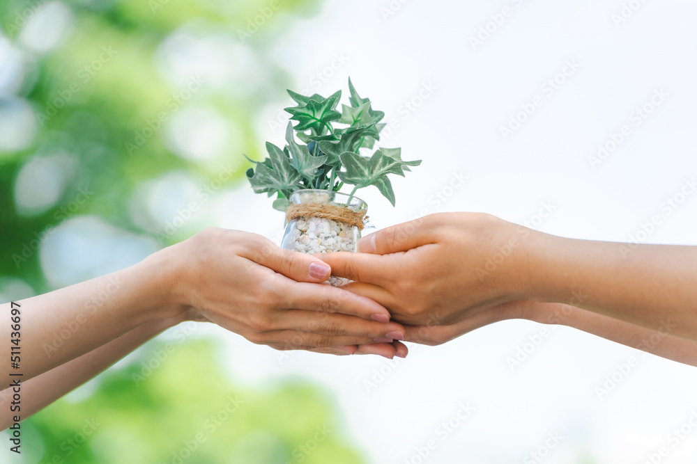 植物を持つ手（SDGs・地球環境）
