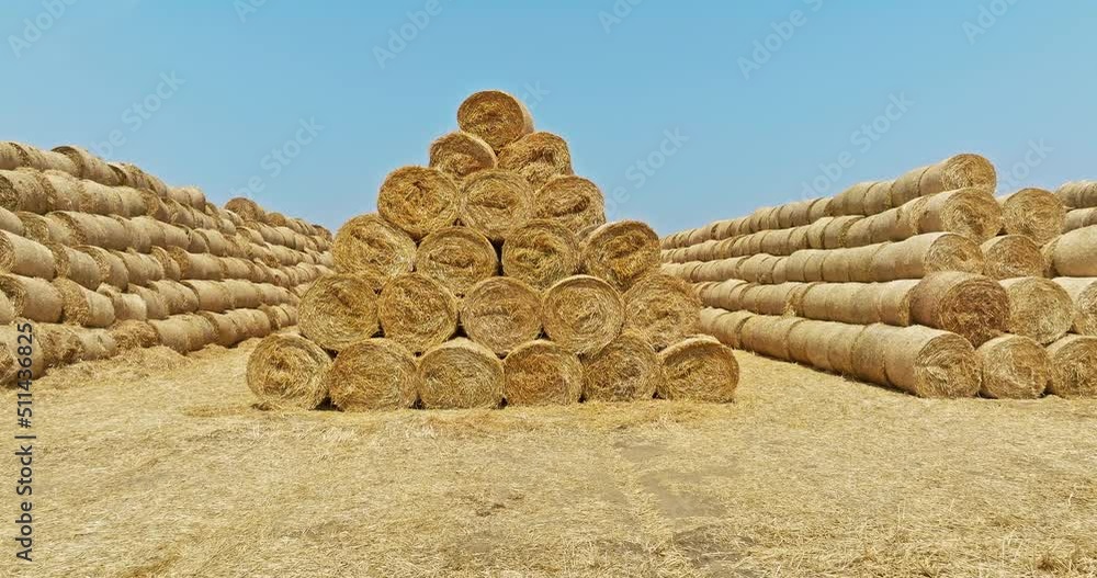 Straw bales in a wheat field. Straw bales stacked in farm field after wheat harvest. Wheat straw can be used as fuel, as animal feed and as raw material for paper. 4K real time video. Straw bales in a wheat field. Straw bales stacked in farm field after wheat harvest. Wheat straw can be used as fuel, as animal feed and as raw material for paper. 4K real time video.