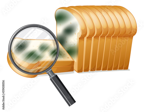Inedible bread with mould