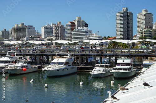 Dream beach holiday vacation in picturesque Punta del Este, Uruguay in South America with beautiful oceanfront landscape city skyline resort hotels photo