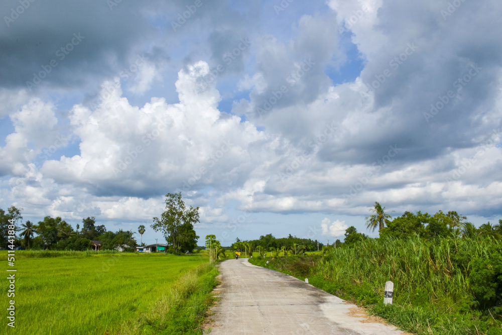 ky, rain clouds and roads in rural rice fields in southern Thailand