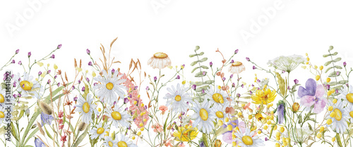 Wild flowers watercolor frame botanical hand drawn illustration