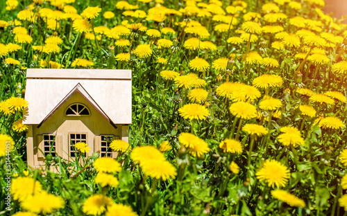 The symbol of the house stands among the yellow dandelions  © licvin