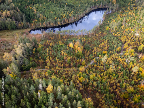 Aerial view of coniferous and deciduous forest, gravel road and lake seen from above, bird's eye view. Autumn landscape, trees in vibrant colors. Drone photography taken in Sweden in October.