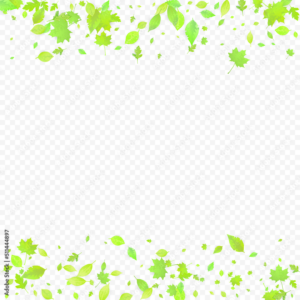 Leaves Falling Spring Flying Foliage Green Leaf Leaves Falling Spring Flying Foliage Green Leaf