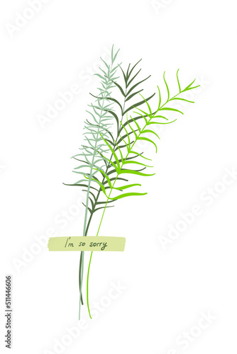 A cute bouquet of blades of grass, a summer collection of different herbs with a piece of paper with an inscription glued on. On a white background