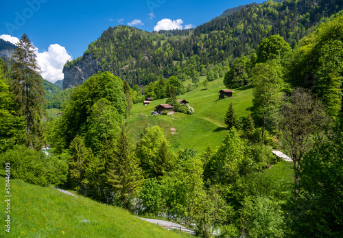 Obraz na płótnie amazing alpine landscape in the village of Lauterbrunnen with green meadow in Switzerland w salonie