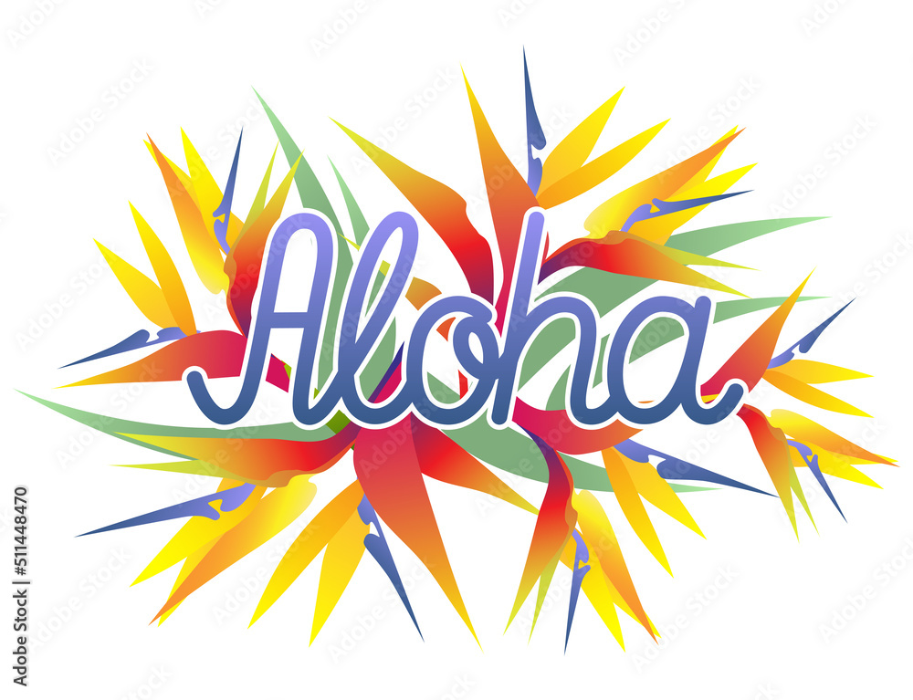 Fototapeta premium Aloha lettering text with strelitzia flower background. Vector Illustration.