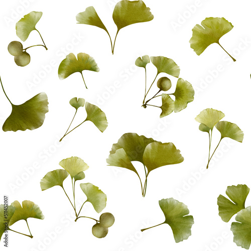 Seamless pattern of ginkgo biloba branches and leaves. Isolated on white background.