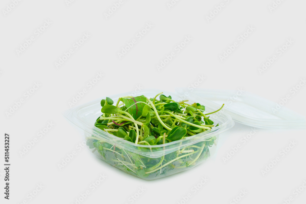 Sunflower shoots and sprouts in a plastic box on an empty background isolate. Green microgreen salad for eating. Healthy raw food, diet, vegan concept. Sunflower shoots and sprouts in a plastic box on an empty background isolate. Green microgreen salad for eating. Healthy raw food, diet, vegan concept.