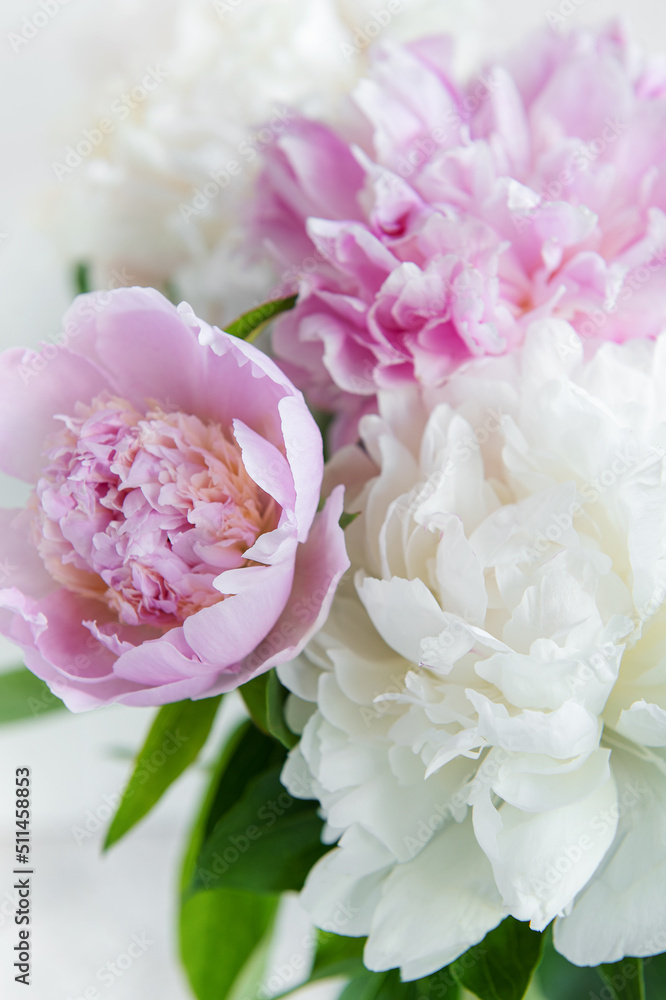 Obraz premium Beautiful bouquet of flowers: white and pink peonies.