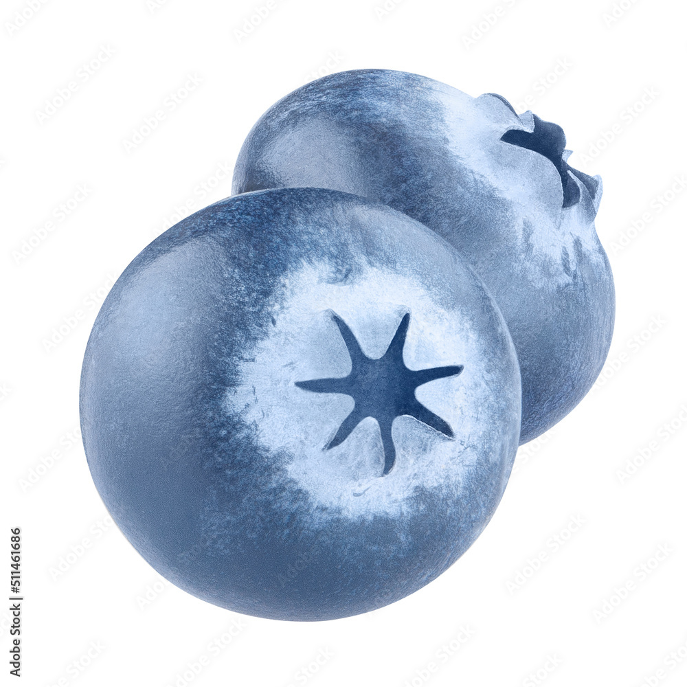 Two ripe blueberries, isolated on white background Two ripe blueberries, isolated on white background