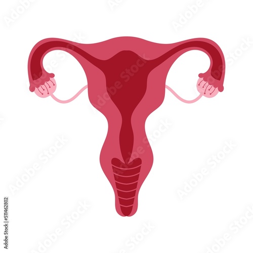 Women health Uterus Floral Ovary reproductive system Concept.