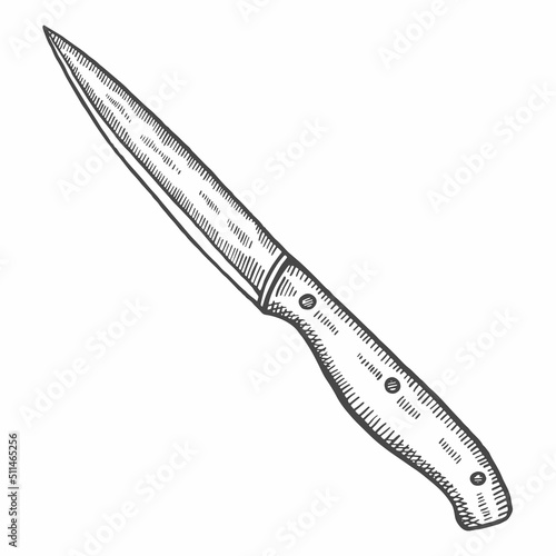kitchen carving knife isolated doodle hand drawn sketch with outline style