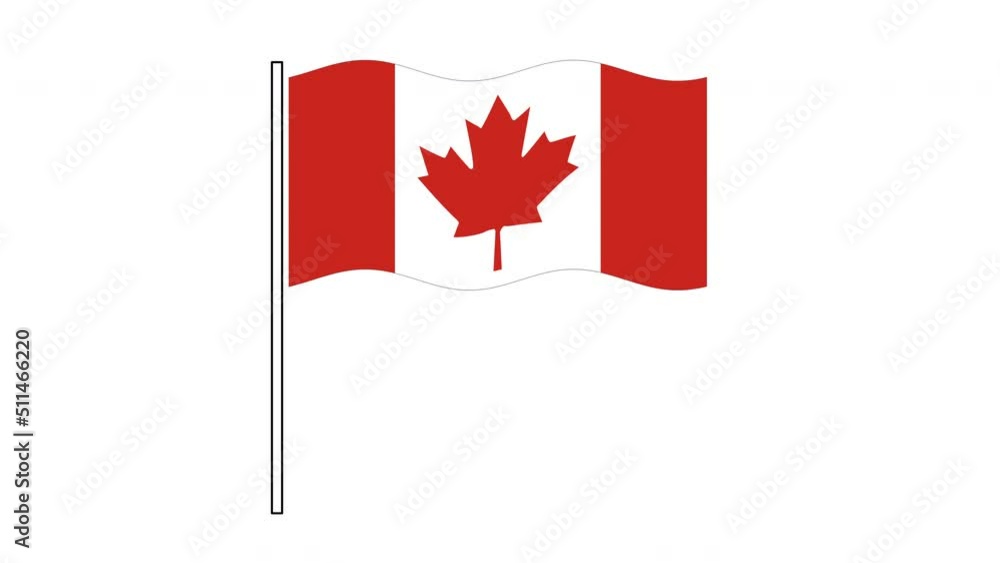Canada flag seamless loop animation. Waving flag on white background.