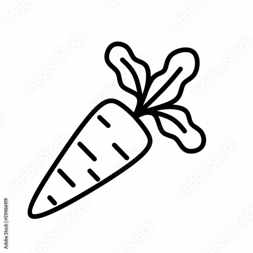 Single carrot line icon in linear style isolated on white background. Pictogram symbol and illustration for logo. Thin black line vector.