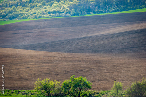 Wallpaper Mural Plowed field in the rolling landscape of Moravian Tuscany, Czech Republic Torontodigital.ca