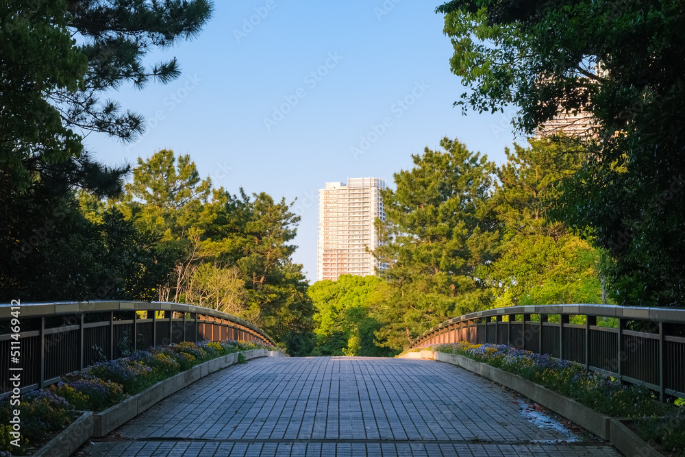 Fototapeta premium 千葉市美浜区 夕方の幕張海浜公園、ひびのばし