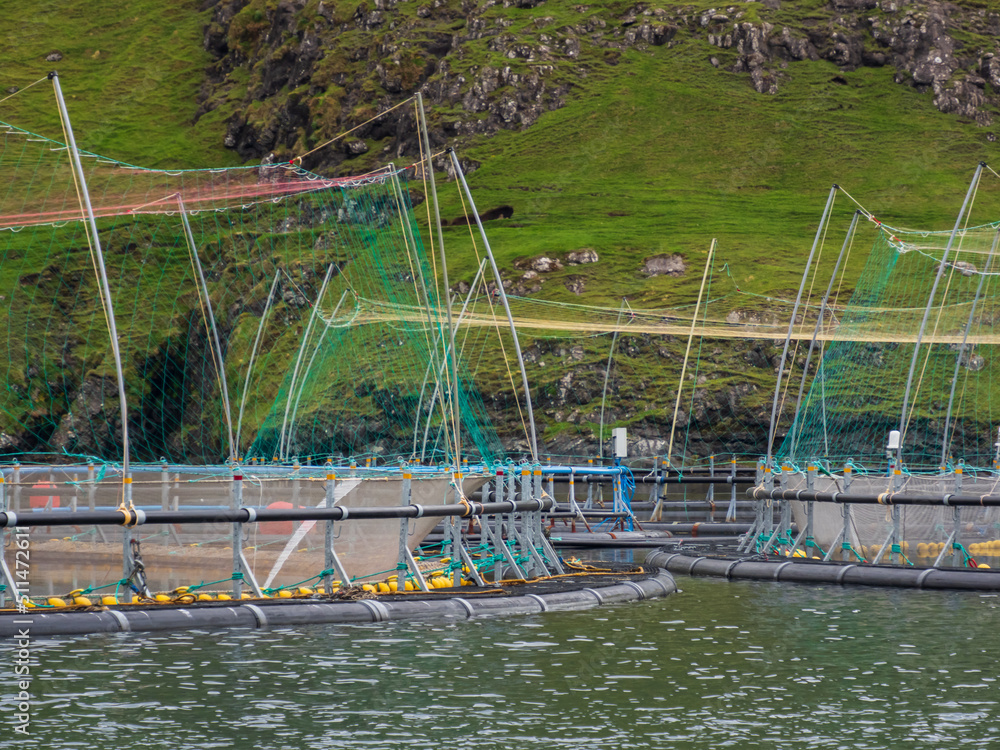 Fototapeta premium Faroe Islands