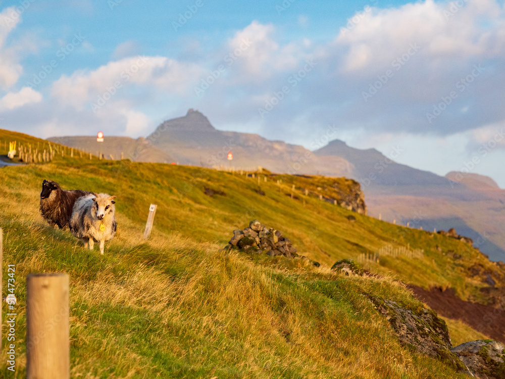 Faroe Island