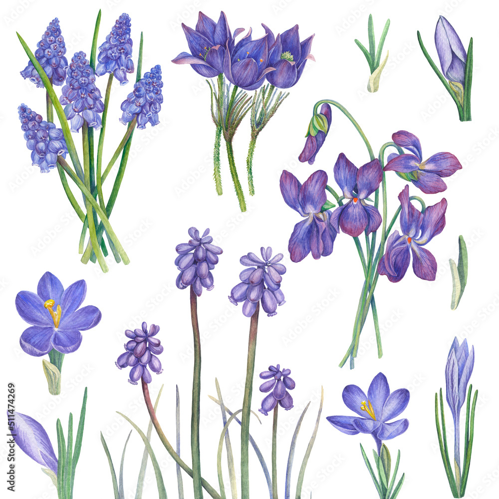 a large set of watercolor images of hand-made lilac spring flowers a large set of watercolor images of hand-made lilac spring flowers