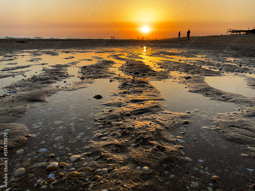 Beautiful sunset on the beach, with the beach full of clam shells, Punta Umbria, Huelva Beautiful sunset on the beach, with the beach full of clam shells, Punta Umbria, Huelva