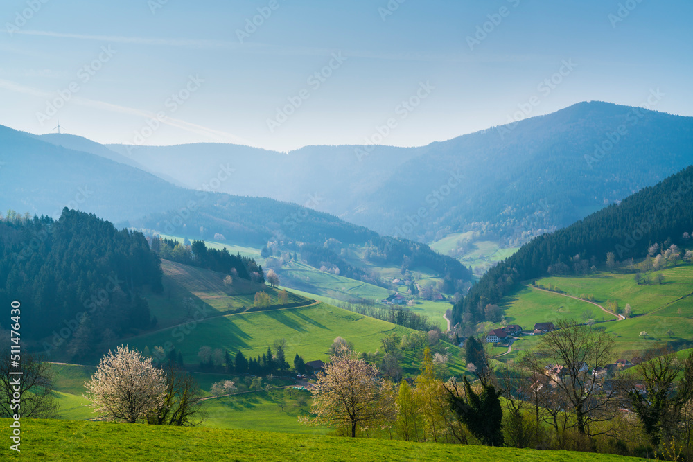 Germany, Schwarzwald tourism destination, village houses in valley surrounded by forested  mountains in summer on sunny day, panorama view