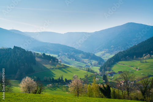 Germany  Schwarzwald tourism destination  village houses in valley surrounded by forested  mountains in summer on sunny day  panorama view