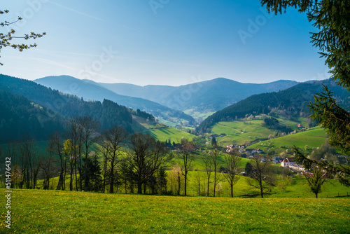 Germany, Schwarzwald tourism destination, village houses in valley surrounded by mountains and forest in summer on sunny day, panorama view