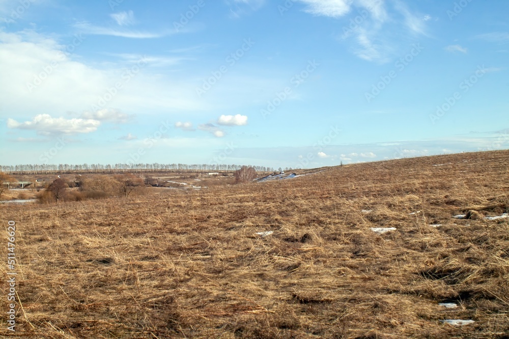 last year's grass in a field in early spring last year's grass in a field in early spring