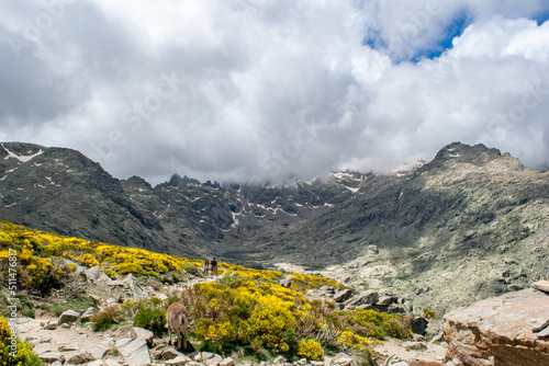 Clouds that cover the mountain