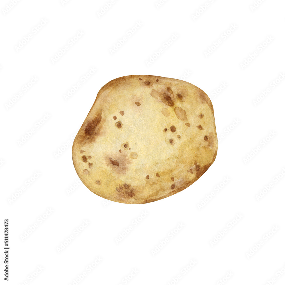 Watercolor drawing of potatoes. A young potato tuber isolated on a white background, hand-painted in watercolor. Suitable for menus, label creation and printing design. Watercolor drawing of potatoes. A young potato tuber isolated on a white background, hand-painted in watercolor. Suitable for menus, label creation and printing design.