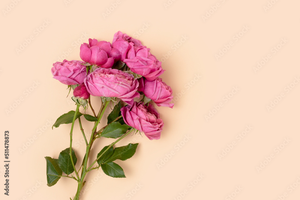 Bouquet of rose flowers on a beige background. Floral springtime concept with copyspace. Gift for Mothers Day.