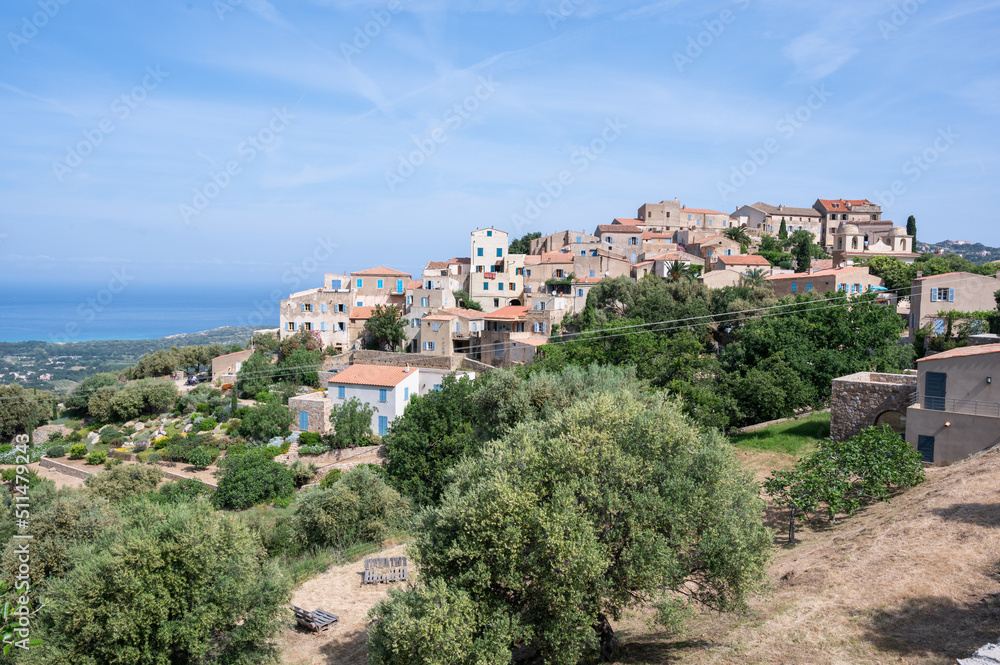Vue sur le village de Pinia, beau village perché de Balagne, Corse