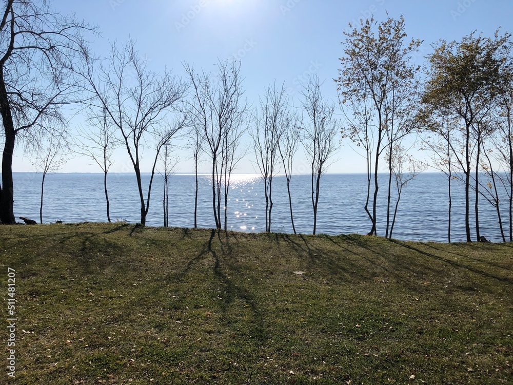 Sun over the river with trees