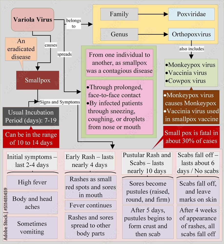 Variola virus the cause of smallpox disease, which is an