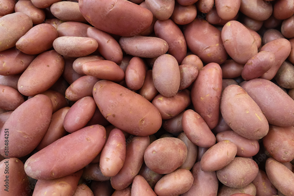 Heap of red potatoes, top view Raw Food. filled frame background Heap of red potatoes, top view Raw Food. filled frame background
