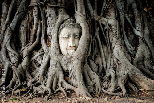 Fotografie, Obraz Buddha head in banyan tree roots at Wat Mahathat temple in Ayutthaya, Thailand