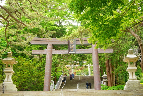 Torii at Hakodate Hachimangu Shrine in Hokkaido, Japan - 日本 北海道 函館八幡宮 鳥居 参道