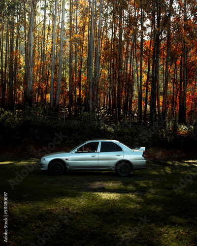 car in autumn forest