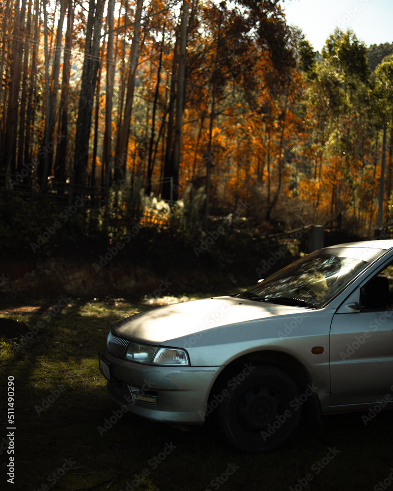 car in autumn forest