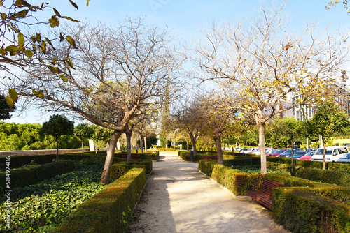Walking path in City park with green trees. Valencia Central Park with gardens and green trees. Green grass lawn, palm trees and walking paths and Footpath at the beginning of the day in park.. © MaxSafaniuk