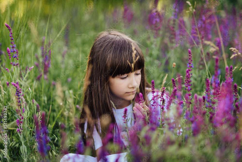 Cute little girl 7-8 years old, sitting in the lavender field, looking at the flowers Cute little girl 7-8 years old, sitting in the lavender field, looking at the flowers