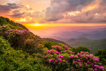 Acrylglasbilder Orange The Craggies in the Blue Ridge Mountains  © SeanPavonePhoto