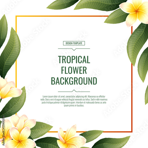 Square background with plumeria flowers. Tropical frangipani plant. Banner, poster, flyer, postcard. Summer illustration.