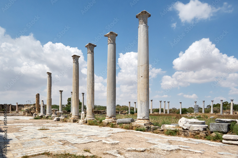 Ancient city of salamis