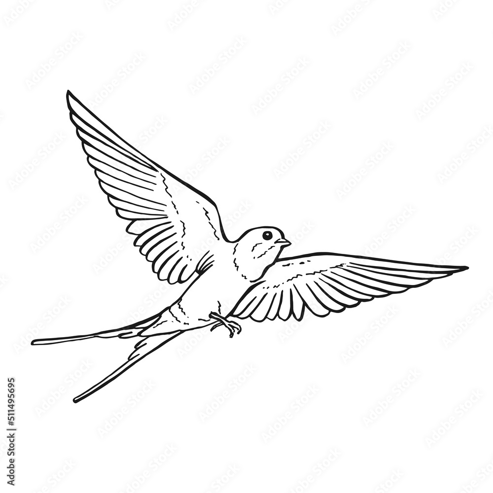 Naklejka premium Flying swallow. Hand drawn illustration converted to vector.