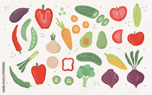 Fototapeta Naklejka Na Ścianę i Meble -  Set of flat hand drawn doodle Vegetables and greens. Healthy organic food elements. Vector illustration isolated on white background