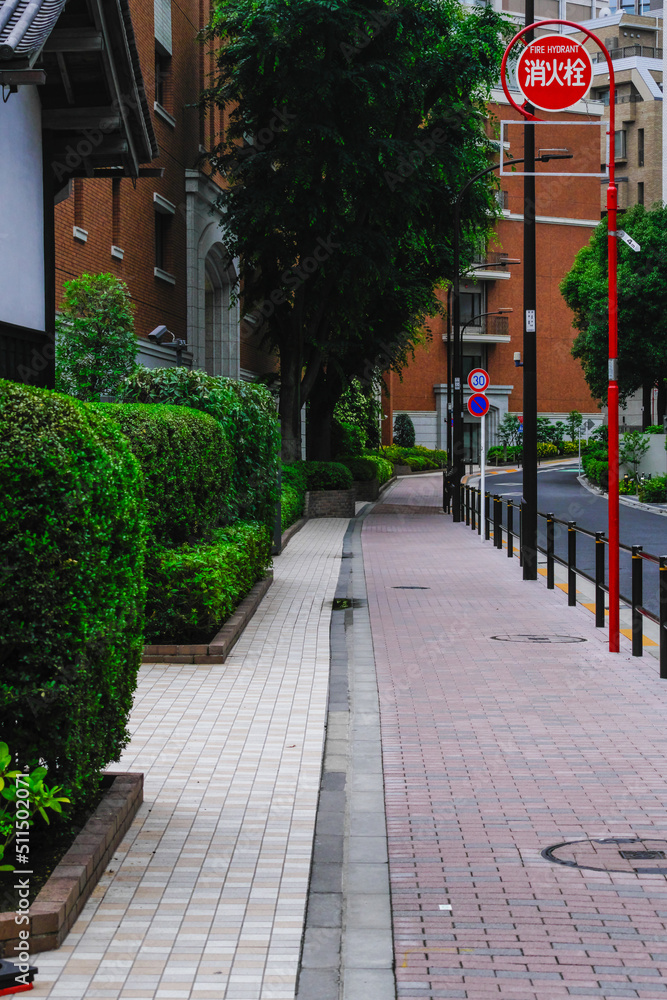Obraz premium 日本の東京港区赤坂4丁目の美しい歩道